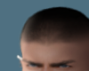 Buzz Cut