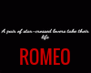 ROMEO N JULIET
