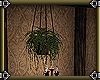 ~E- Tower Hanging Plant