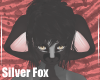 SilverFox-EarsV1