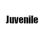 Juvenile chain (f)