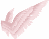 Little Pink Angel Wings
