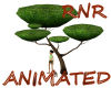 ~RnR~AMAZON APE TREE 3