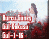 Gulkokusu