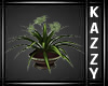 }KS{ Flower Plant