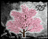 [SS] Emperor Sakura Tree