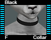 Black Collar F