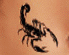 Scorpion Tattoo Belly