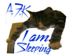 {CU} Afk sleeping