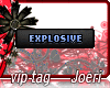 j| Explosive Supernova
