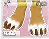 Fennec - Feet (M)