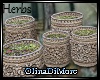 (OD) Jars with herbs