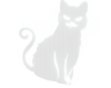 Glow Animated Cat