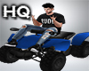 Avi Quad Bike