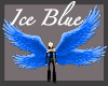 Ice Blue Wings