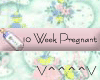 10 Weeks Pregnant (P)
