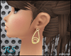 [RS]Fancy Gold Earrings