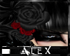 *AX* Le Velvet Noir Rose