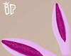 IP Purple Bunny Ears