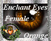~QI~ Enchant Eyes O F