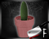 *A* Cactus 1