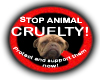 Stop Animal Cruelty!