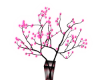 Clueless Blossom Plant