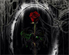 LC| Gothic Rose Frame