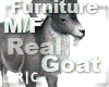 R|C Goat Grey Furniture
