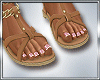DC..Safari Sandals