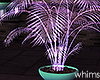 Rooftop Party  Glow Palm