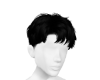 Lung