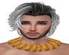 APOLO GOLD