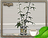 Bamboo Plant Can 3