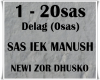 SAS IEK MANUSH