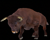wild bull cutout