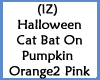 Cat Bat On Pumpkins O2Pi