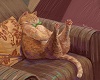 Big Stretch