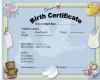 {F}Boy Birth Certificate