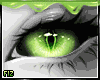. Vero | Eyes