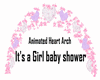 GM's It's a Girl Baby Sh