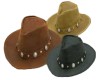 Buffalo Nickel Hats