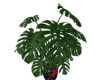 CH Plant Pot V2