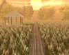 Sunset Meadow PhotoRoom