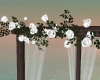 TX Wedding Roses / White