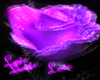 Purple Love Rose Picture