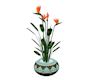 tropical plants