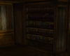 Z.shelf of books 3