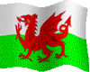 the wales flag