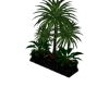 TrioPlant